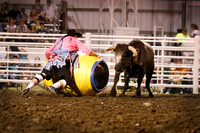 2014 Rodeo Pictures